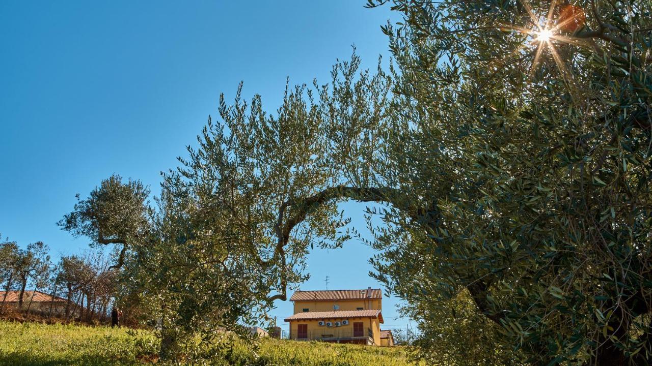 La Casa Del Vino - B&B Tollo Exteriör bild