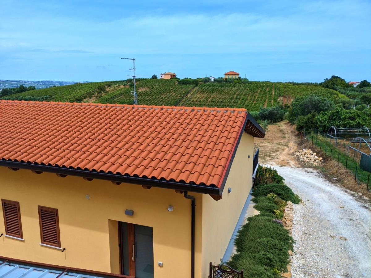 La Casa Del Vino - B&B Tollo Exteriör bild